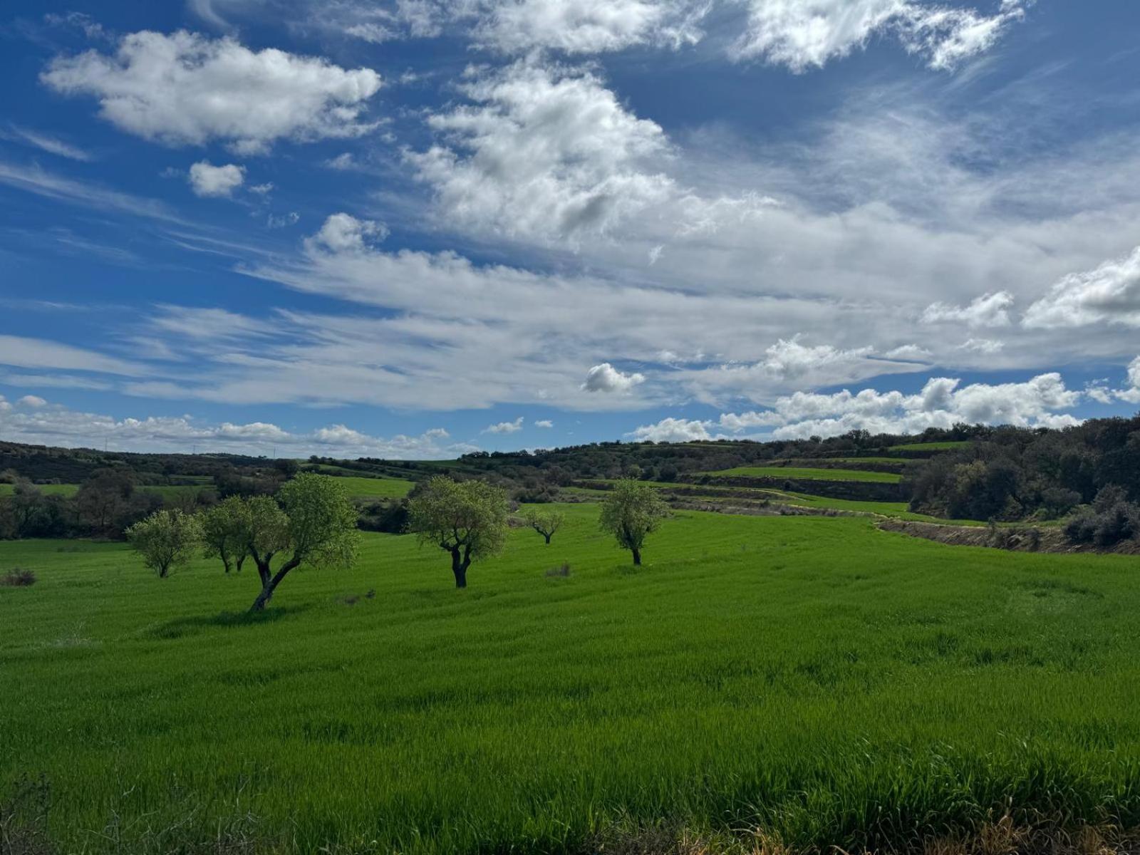 Masia De Queralt Luxury Casa Rural Spa Y Vistas Concabella Exteriör bild